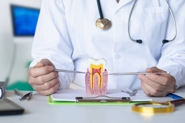  Passapatanzy, VA Emergency Dentist Pros
